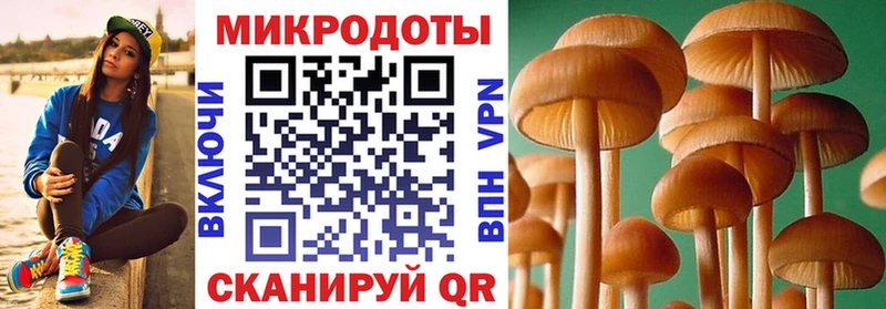 Псилоцибиновые грибы ЛСД  Орёл 